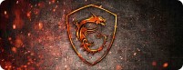 Купить килимок для мишки Voltronic Power MSI - Fire Dragon: цена от 118 грн.