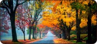 Купить килимок для мишки Voltronic Power Autumn Road: цена от 94 грн.