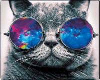 Купити килимок для мишки Voltronic Power Cat with Glasses за ціною від 47 грн.