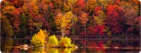 Купить килимок для мишки Voltronic Power Autumn Forest: цена от 146 грн.