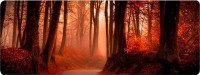 Купити килимок для мишки Voltronic Power Red Forest за ціною від 141 грн.