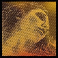 Купити струни Pirastro Evah Pirazzi Gold Violin D String Synthetic/Silver Mittel Envelope за ціною від 6480 грн.