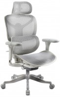 Купить комп'ютерне крісло ADAPWORK S7 Mesh Senior ErgoChair: цена от 18999 грн.