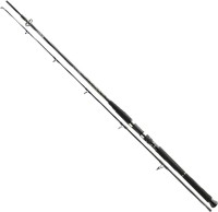 Купити вудилище Daiwa BG Boat 11906-246 за ціною від 2650 грн.