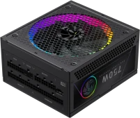 Купити блок живлення Gamemax RGB PRO 2025 (RGB PRO 750G) за ціною від 3878 грн.