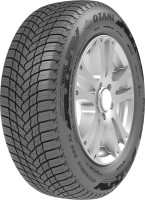 Купити шини OTANI WE1000 (205/65 R15 94H) за ціною від 2321 грн.
