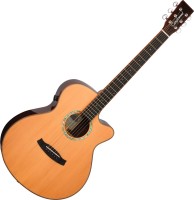 Купити гітара Tanglewood TRS4CE за ціною від 14894 грн.
