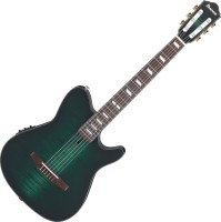 Купити гітара Ibanez FRH20FMN за ціною від 44999 грн.