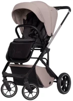 Купить візочок Cavoe Moi+ 2 in 1: цена от 45982 грн.