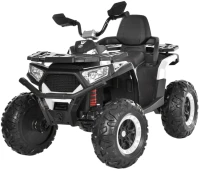 Купить дитячий електромобіль Bambi M6351EBLR: цена от 12065 грн.