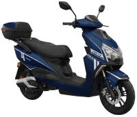 Купить електроскутер Forte MS-300: цена от 54999 грн.