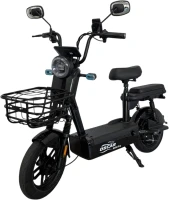 Купить електроскутер Oscar Mini Pro 450W 12Ah: цена от 17999 грн.