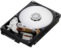 Купити жорсткий диск Hitachi Deskstar 7K1000.B (HDT721010SLA360) за ціною від 27720 грн.