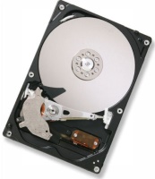 Купить жесткий диск Hitachi Deskstar P7K500 по цене от 699 грн.