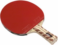 Купить ракетка для настільного тенісу Atemi 5000A: цена от 2399 грн.
