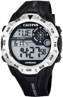 Купити наручний годинник Calypso K5665/1  за ціною від 1557 грн.