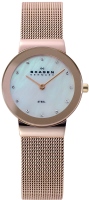 Купить наручные часы Skagen 358SRRD  по цене от 5190 грн.