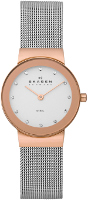 Купить наручные часы Skagen 358SRSC  по цене от 5090 грн.