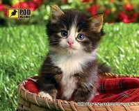 Купить коврик для мышки Pod myshku Kitten in a Basket  по цене от 44 грн.