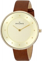Купити наручний годинник Skagen SKW2138  за ціною від 5390 грн.