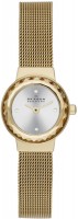 Купити наручний годинник Skagen SKW2186  за ціною від 5490 грн.