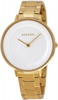 Купить наручные часы Skagen SKW2330  по цене от 4990 грн.