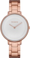 Купить наручные часы Skagen SKW2331  по цене от 5090 грн.