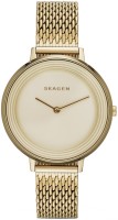 Купить наручные часы Skagen SKW2333  по цене от 5890 грн.