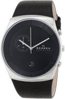 Купить наручные часы Skagen SKW6070  по цене от 6490 грн.