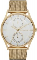Купити наручний годинник Skagen SKW6173  за ціною від 5390 грн.