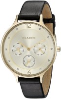 Купить наручные часы Skagen SKW2393  по цене от 5590 грн.