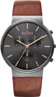 Купить наручные часы Skagen SKW6106  по цене от 6490 грн.