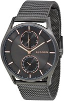 Купити наручний годинник Skagen SKW6180  за ціною від 6790 грн.