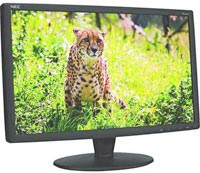Купити монітор NEC V221W за ціною від 14842 грн.