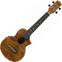 Купить гитара Ibanez UEW15E  по цене от 10018 грн.