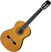 Купить гитара ARIA AK-20  по цене от 3078 грн.