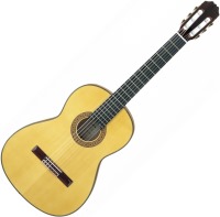 Купить гитара ARIA AC-70F  по цене от 37674 грн.
