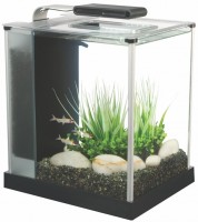 Купить аквариум HAGEN Fluval Spec (10 L) по цене от 6938 грн.