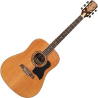 Купить гитара Crusader CF-510FM: цена от 16000 грн.