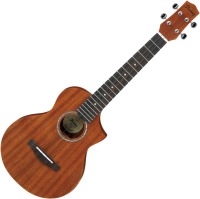 Купить гитара Ibanez UEWT5  по цене от 3960 грн.