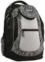 Купить школьный рюкзак (ранец) KITE Take'n'Go K15-804-2L  по цене от 743 грн.