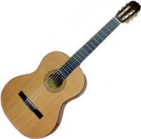 Купить гитара Maxtone CGC3906  по цене от 2730 грн.