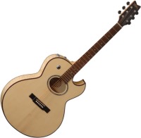 Купить гитара Washburn EA20SDL  по цене от 24570 грн.