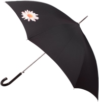 Купить зонт Airton 1621  по цене от 697 грн.