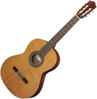 Купити гітара Cuenca 10 Standard  за ціною від 14100 грн.