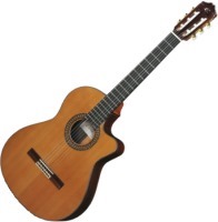 Купити гітара Cuenca 50RCW E2  за ціною від 54100 грн.