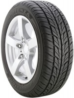 Купити шини Bridgestone Potenza G019 (205/55 R16 91H) за ціною від 4005 грн.