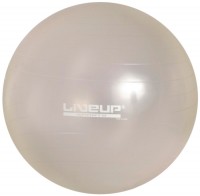 Купить мяч для фитнеса / фитбол LiveUp LS3222-75G: цена от 680 грн.