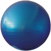Купити М'яч для фітнесу / фітбол Rising Spart GB2085-65  за ціною від 301 грн.