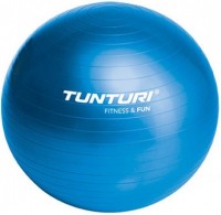 Купити М'яч для фітнесу / фітбол Tunturi Gymball 55  за ціною від 520 грн.